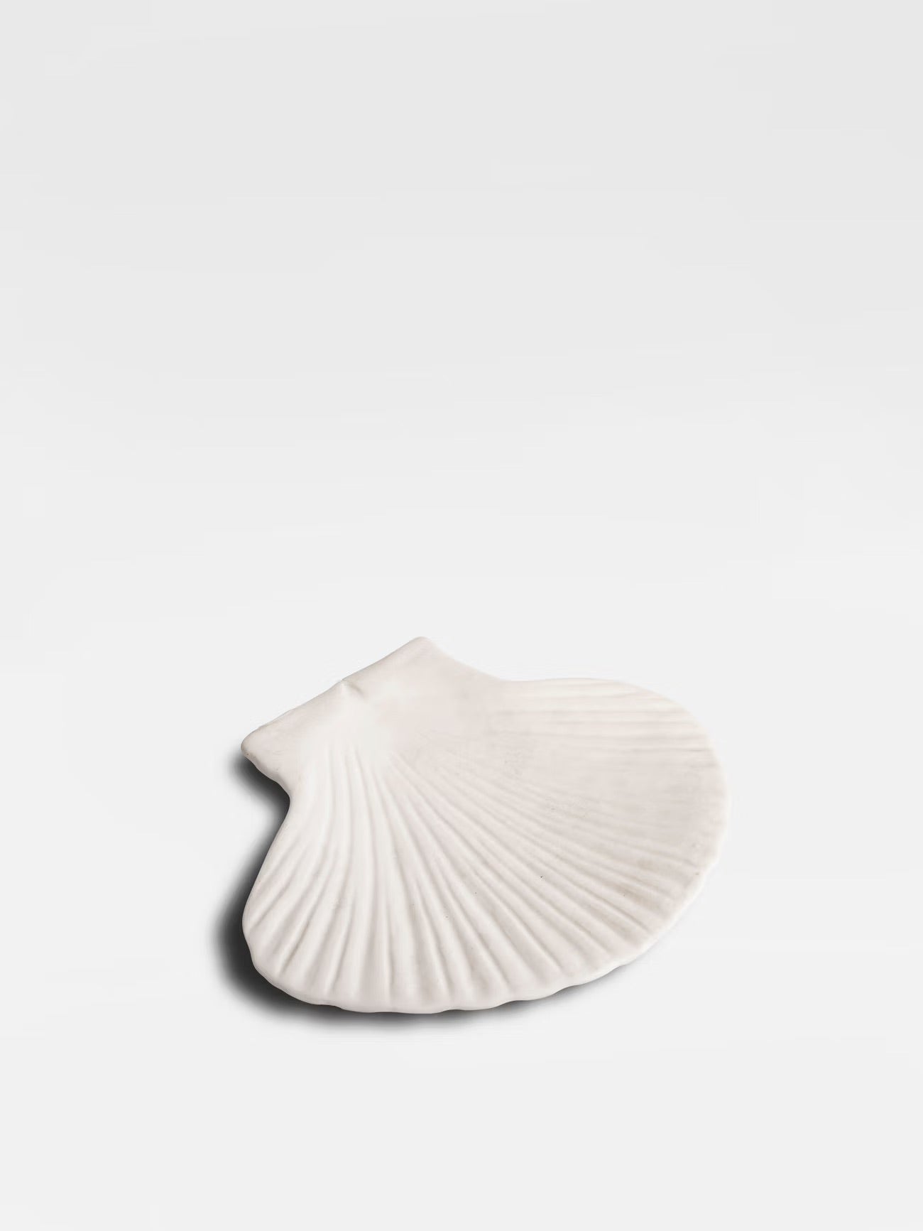 Assiett Shell
