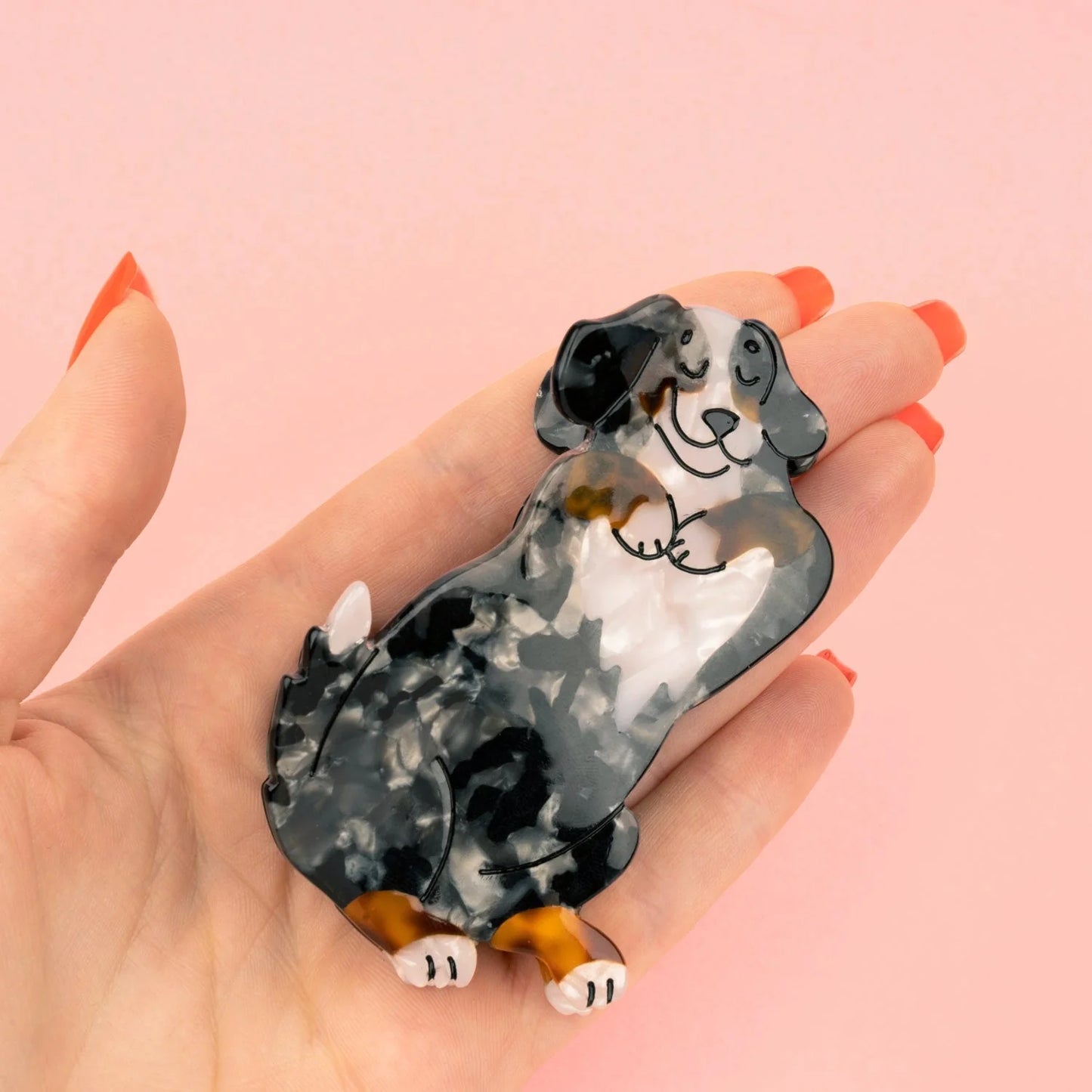 Coucou Suzette hårklämma Berner Sennen