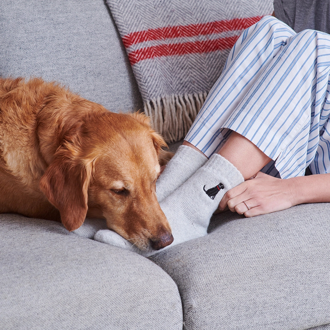 Strumpor med broderad hund - Labrador