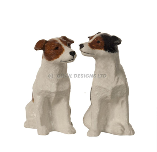 Salt och peppar Jack Russell