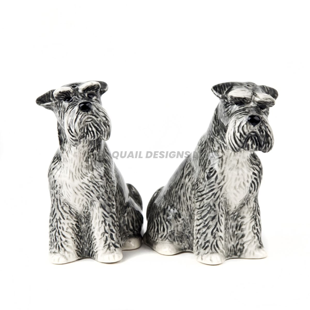 Salt och peppar Schnauzer