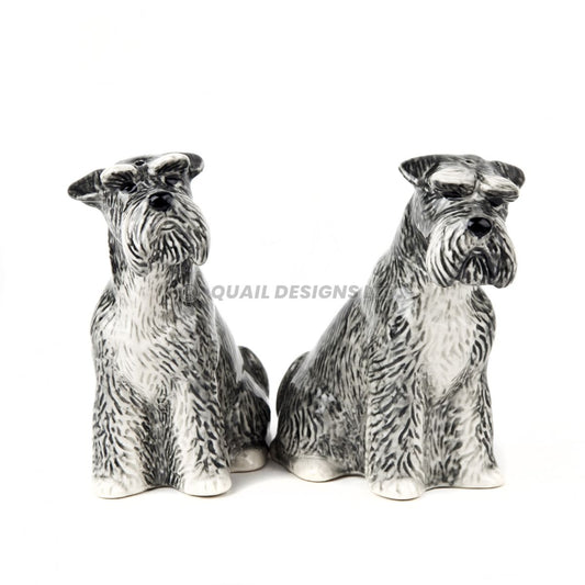 Salt och peppar Schnauzer
