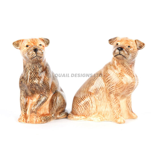 Salt och peppar Borderterrier