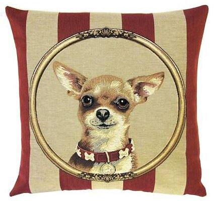 Kudde Chihuahua randig