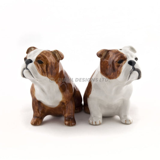 Salt och peppar Engelsk bulldog