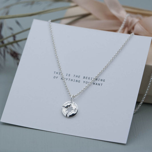 Silverhalsband kompass