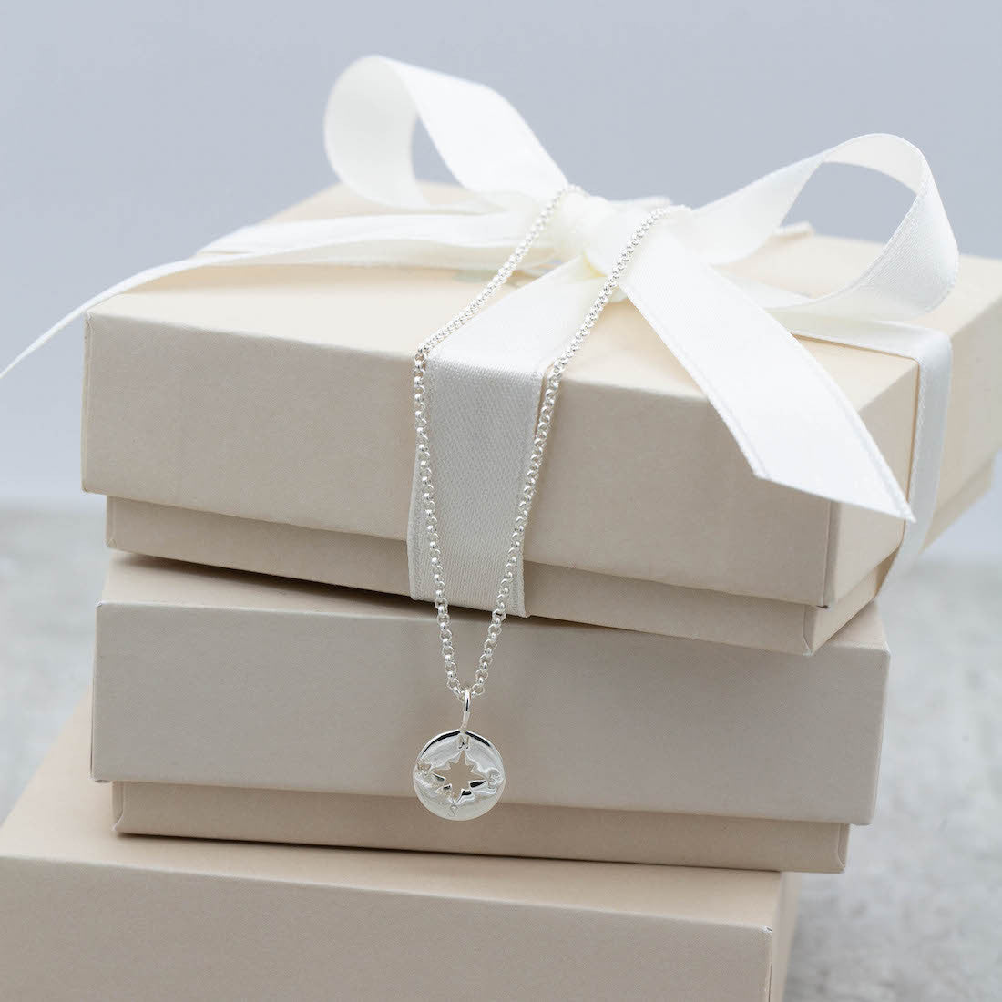 Silverhalsband kompass