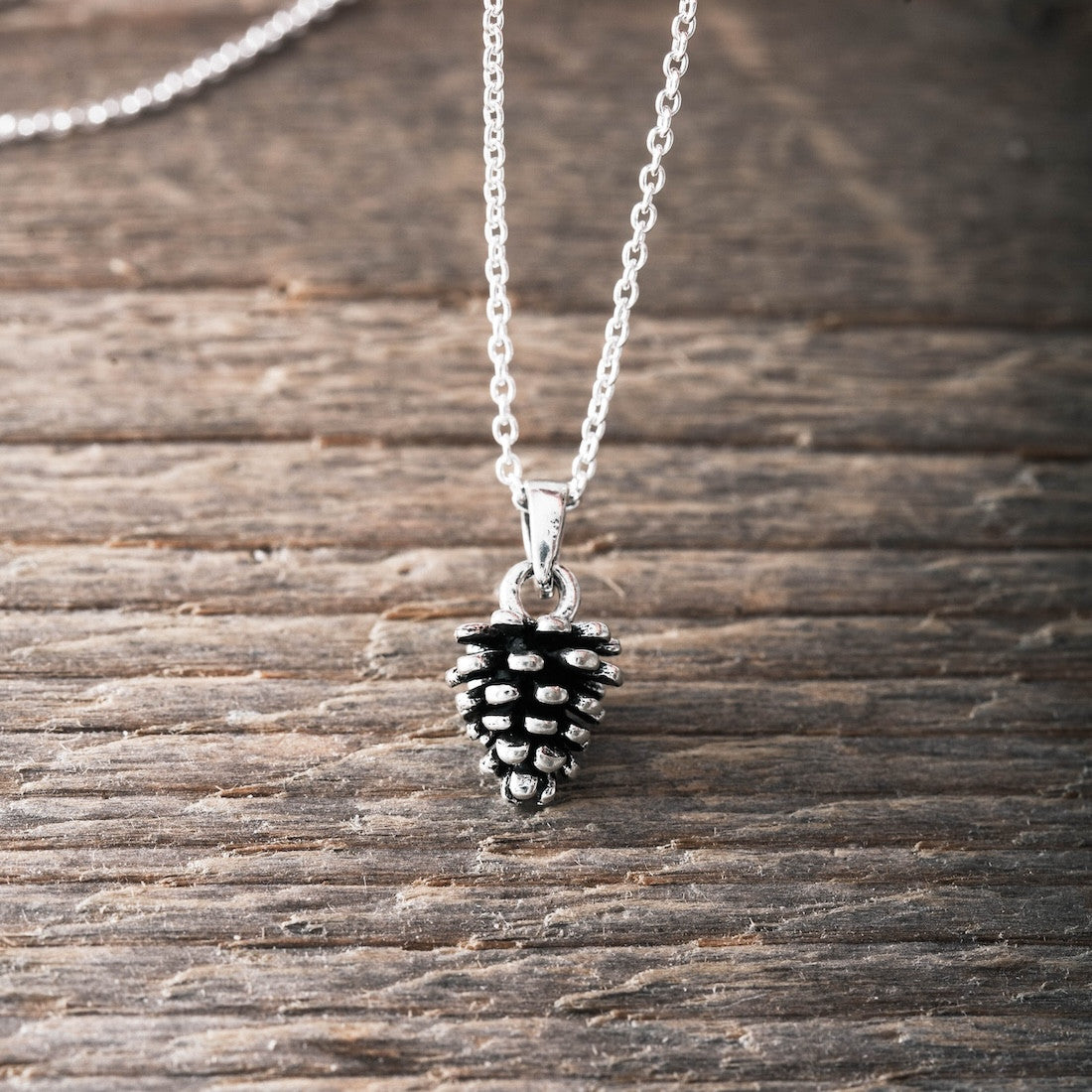 Halsband i silver kotte