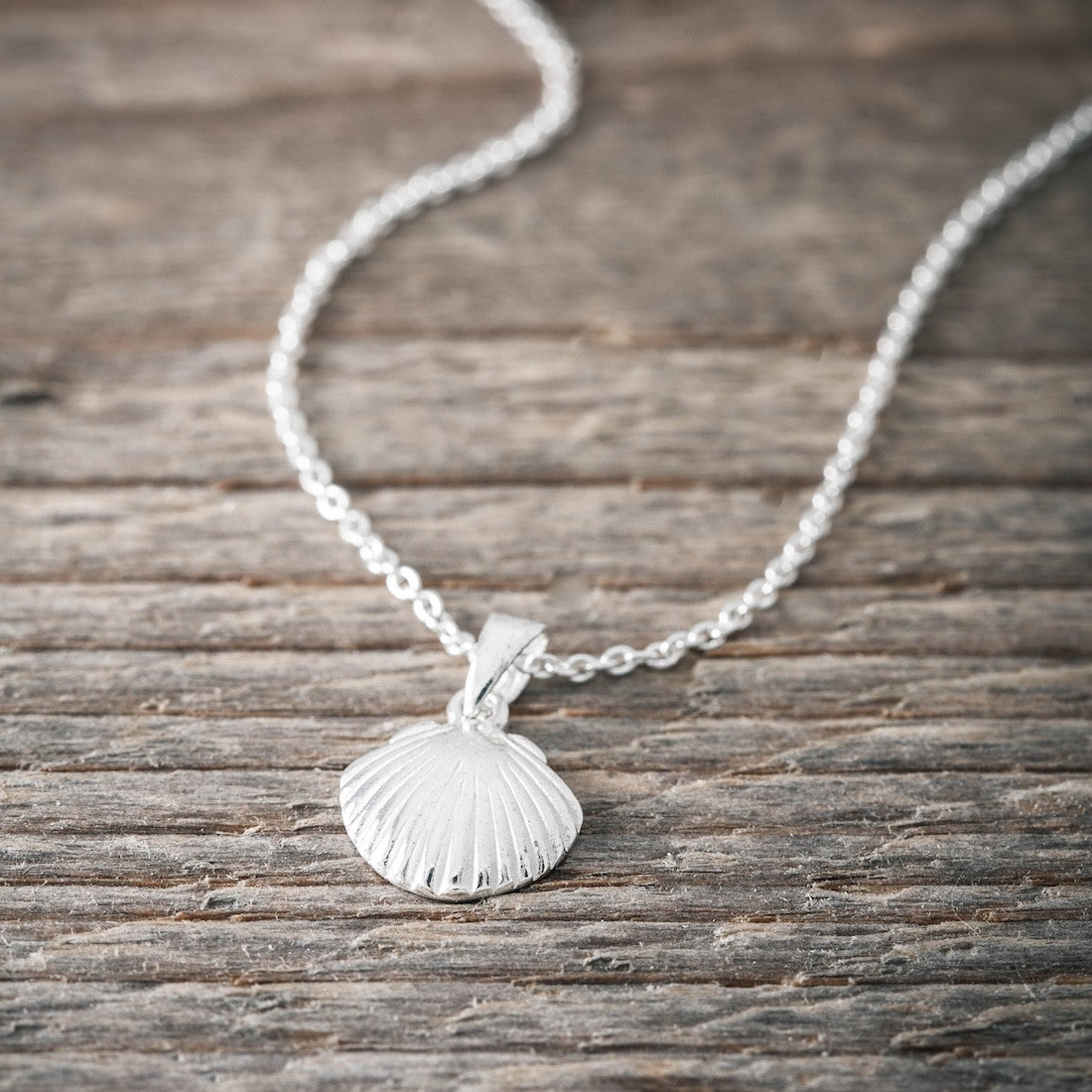 Halsband i silver snäcka