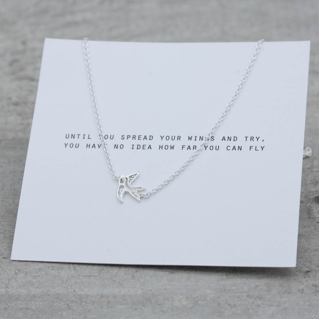 Silverhalsband svala