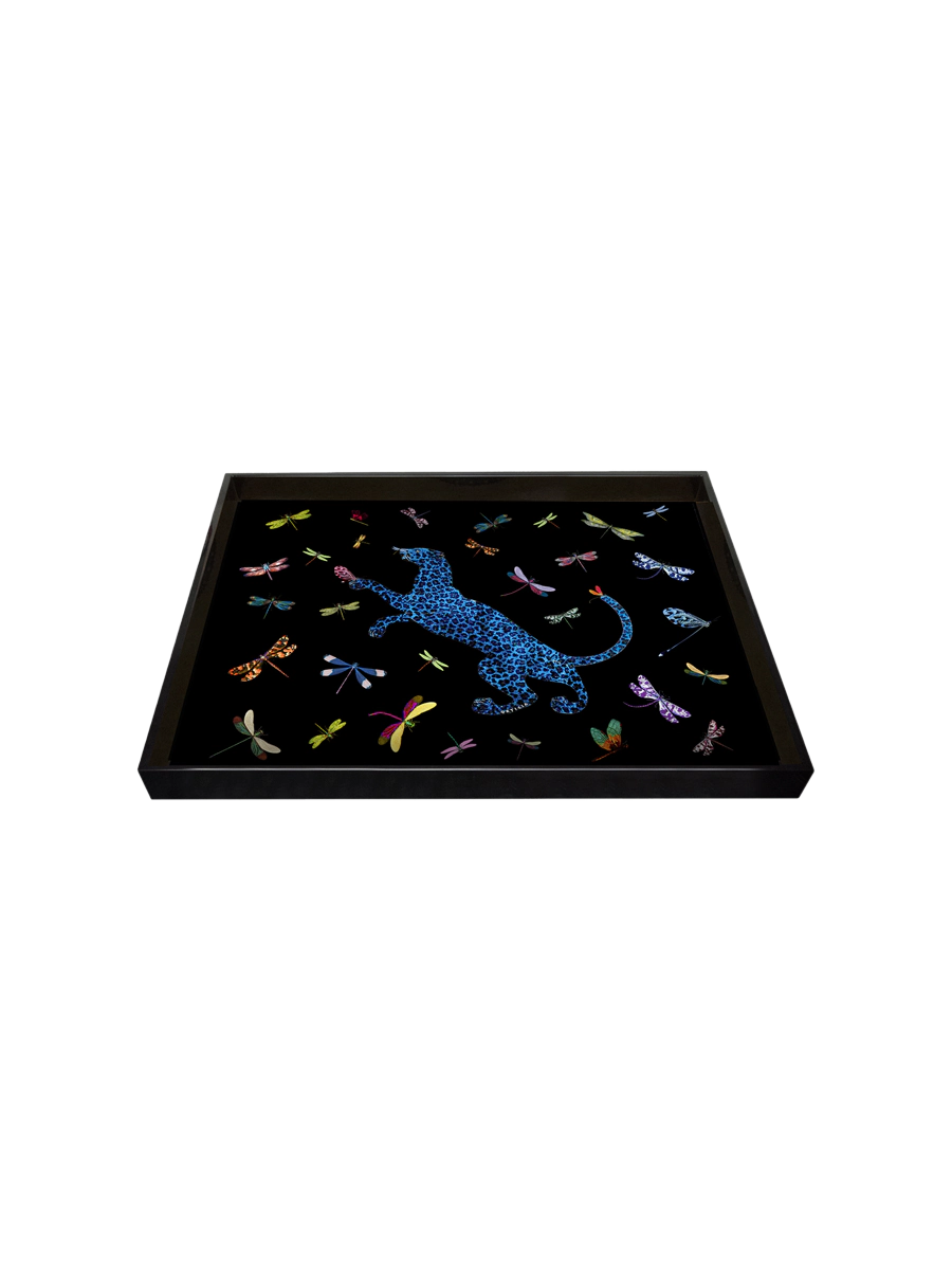 Bricka Ortigia Sicilia Dragonflies Small