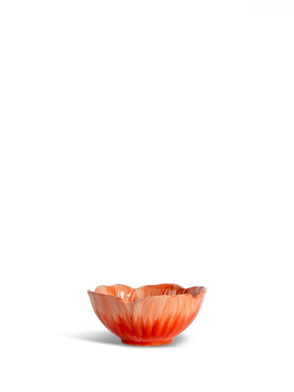 Prost Mohnblume Mohn