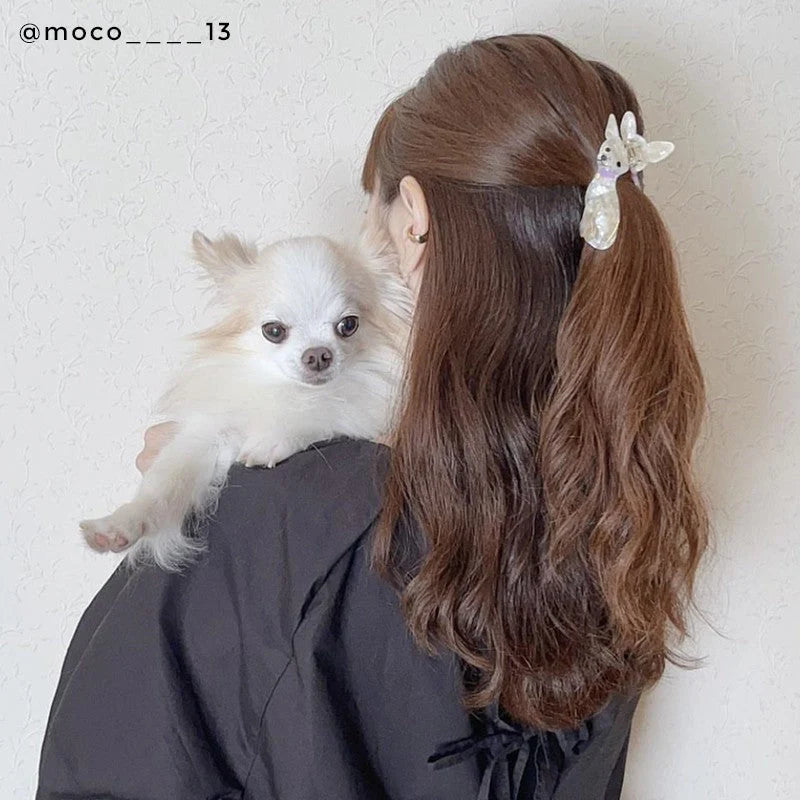 Coucou Suzette hårklämma Chihuahua