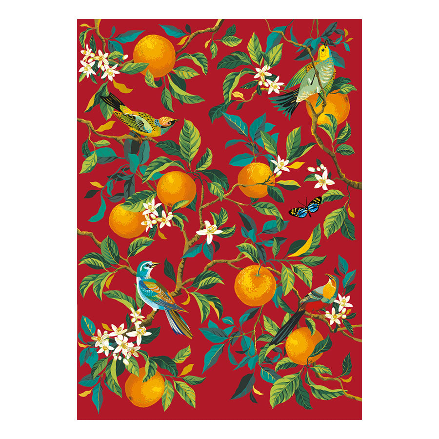 Anteckningsbok A5 apelsiner Cartes d'Art