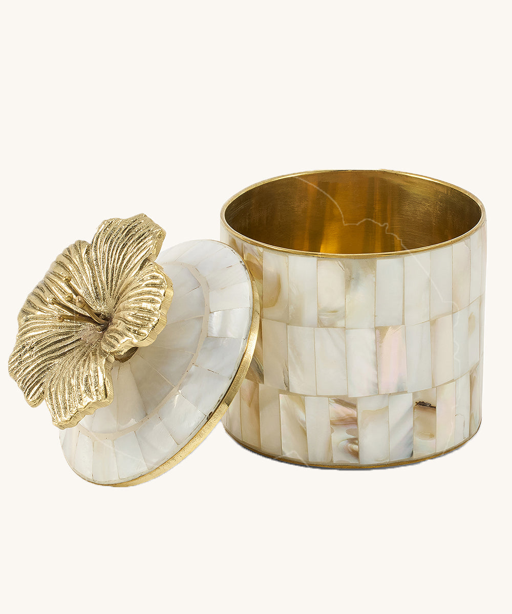 Hailey ask med Hibiscus Pearly