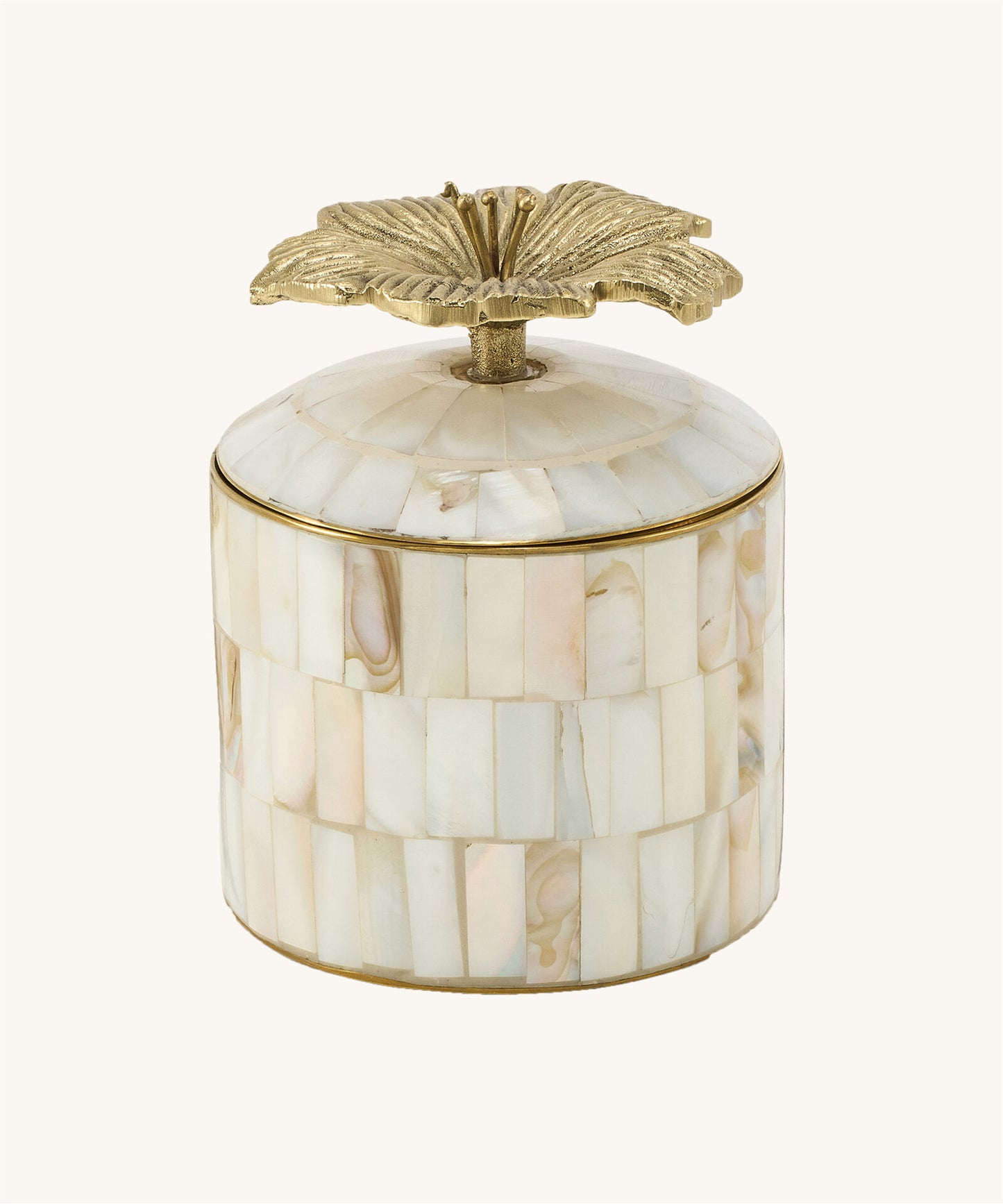 Hailey ask med Hibiscus Pearly