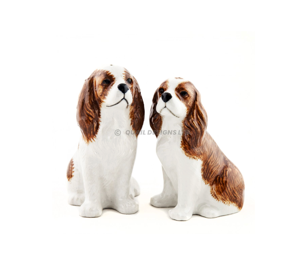 Salt och peppar Cavalier King Charles