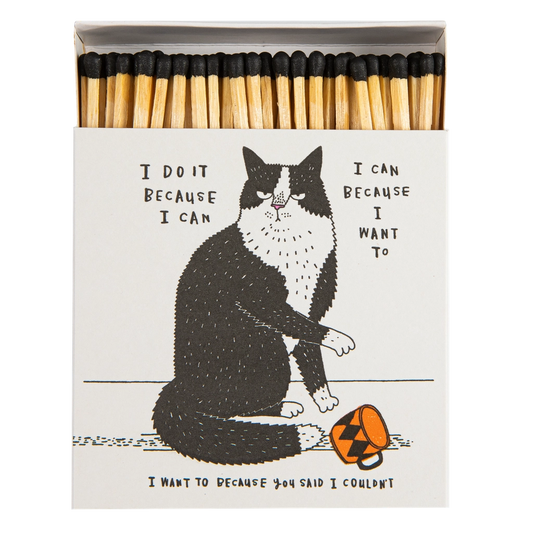 Tändstickor Archivist - I do it because I can