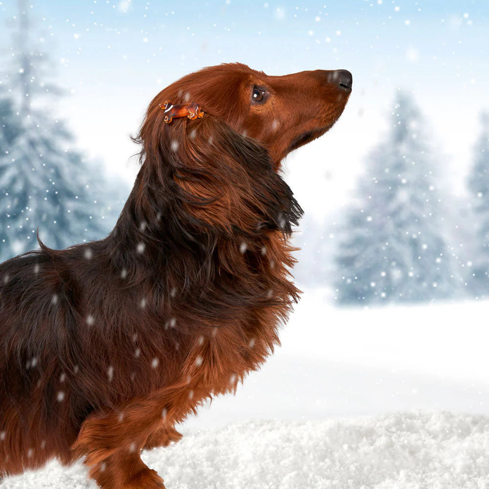 Coucou Suzette hårspänne Tax liten