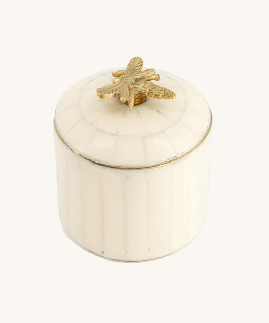 Queen bee ask med bi