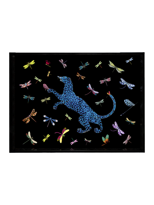 Bricka Ortigia Sicilia Dragonflies Small