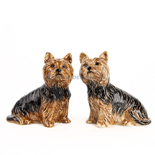 Salt och peppar Yorkshire terrier